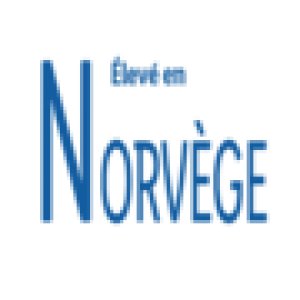 Viandes et poissons - Offres valables à partir du mer. 26 mai 2021