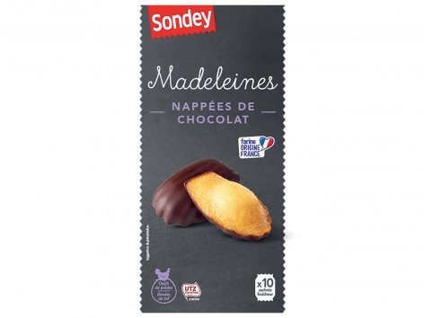 Madeleines nappées de chocolat
