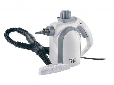 Nettoyeur vapeur à main