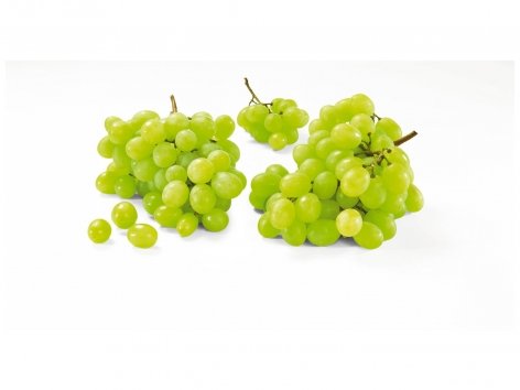 Raisin blanc bio sans pépin