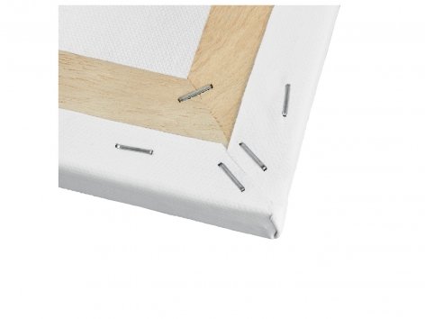 Agrafeuse-cloueuse électrique