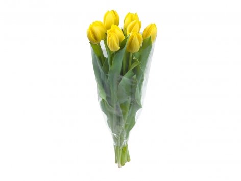 Bouquet de Tulipes