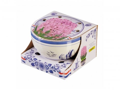 Bulbes de fleurs en pot deco