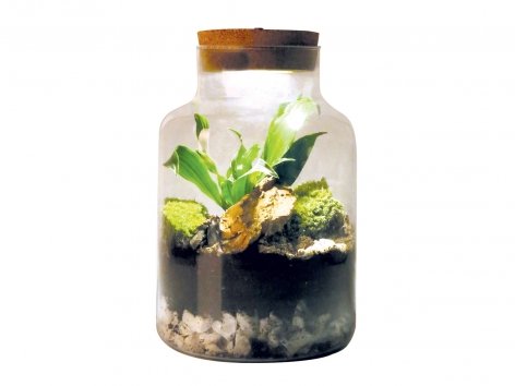 Terrarium lumineux « led »