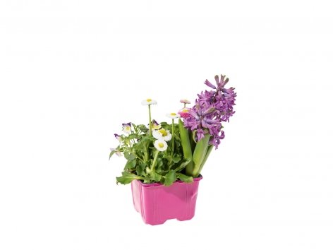 Composition de printemps