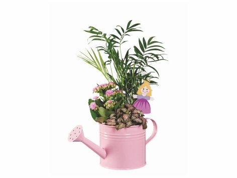 Composition d’été arrosoir