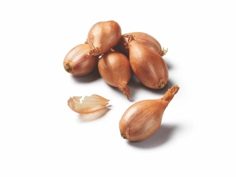 Echalote traditionnelle
