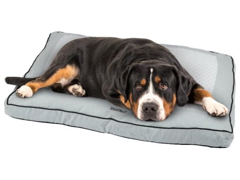 Coussin pour chien été-hiver Premium