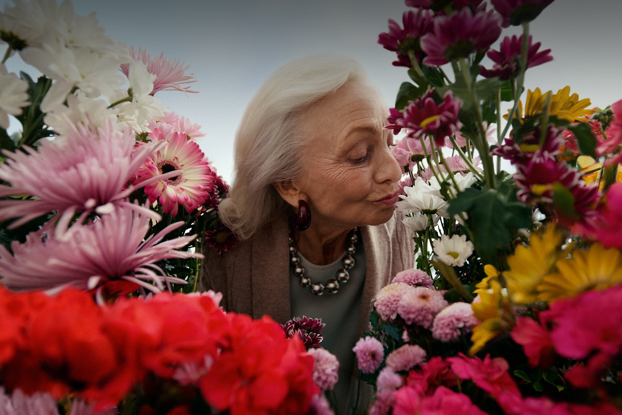 Plantes et fleurs
