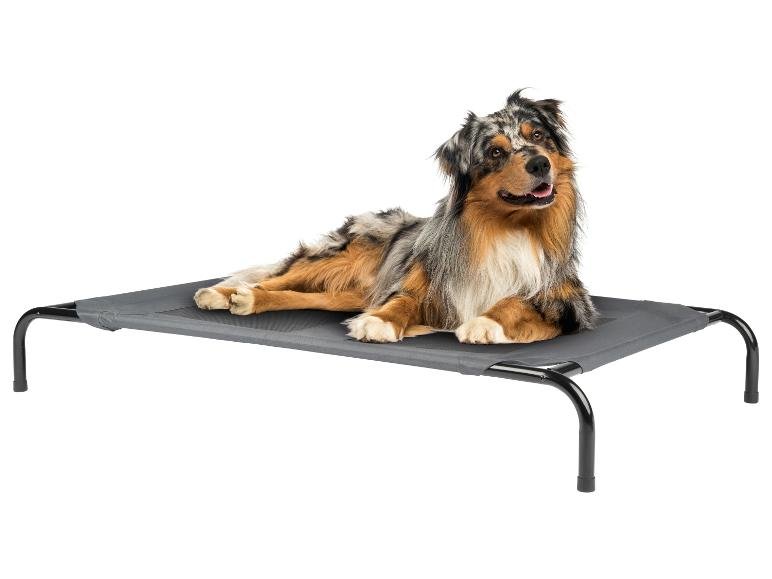 Lit de camp pour animal domestique