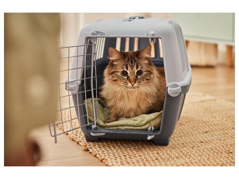 Bac à litière pour chat ou Caisse de transport