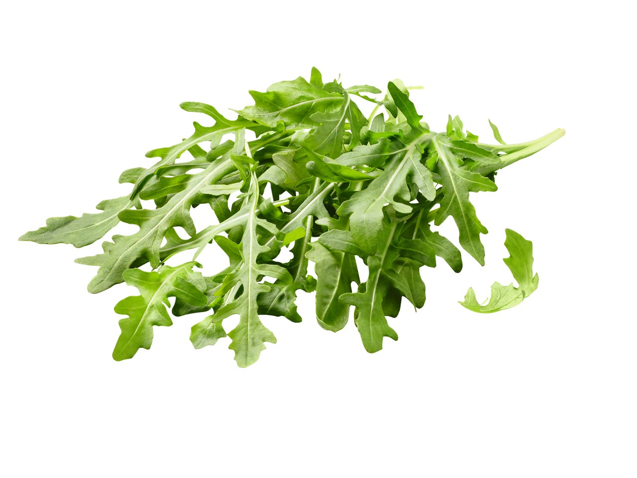Roquette