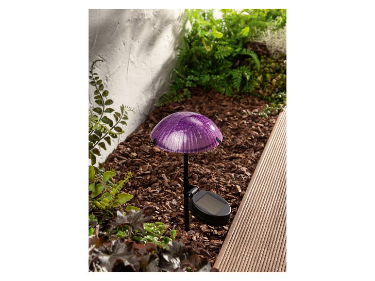 Lampe solaire décorative