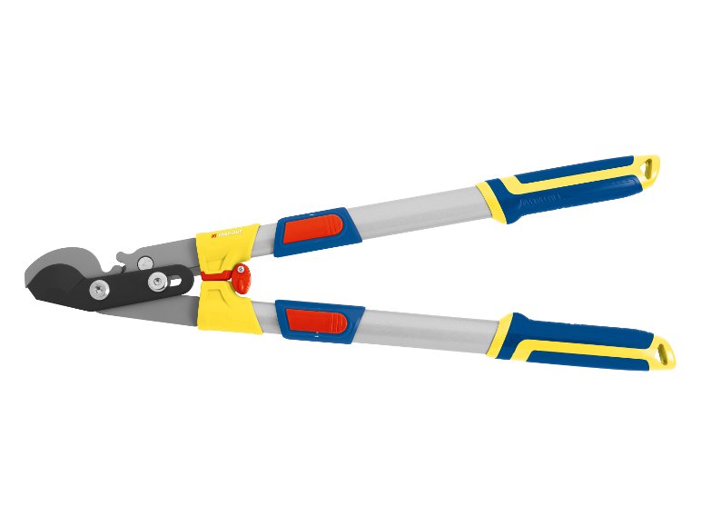 Coupe-branche télescopique édition LIDL
