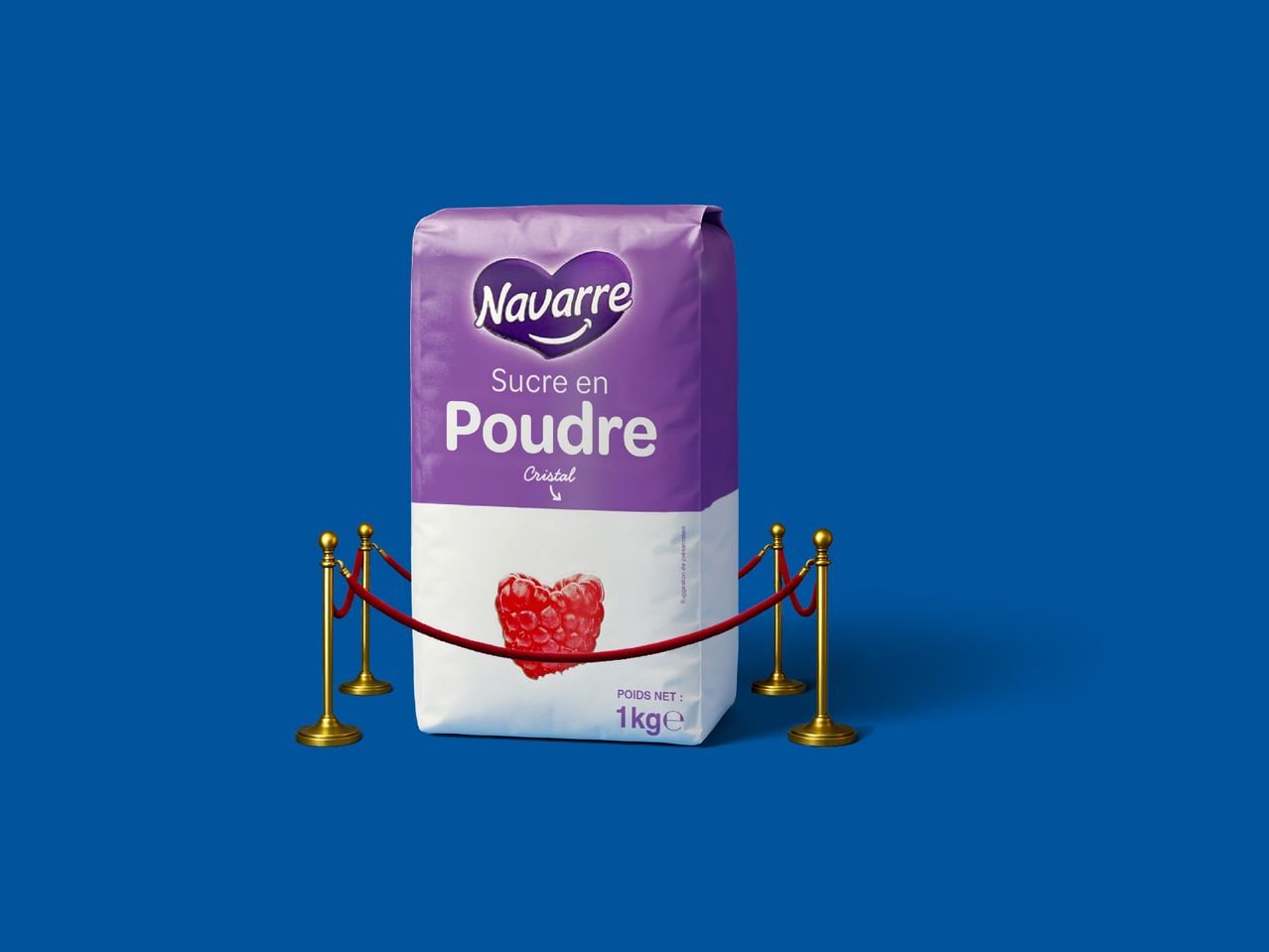 Sucre en poudre
