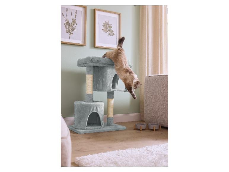 Arbre à chat