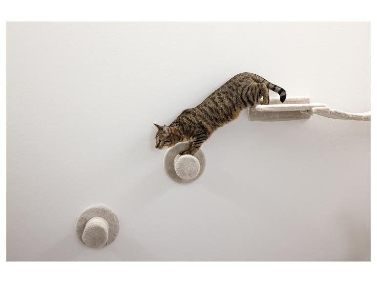 Mur d'escalade pour chat