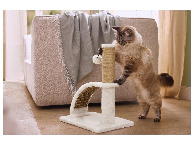 Griffoir avec planche ou brosse de massage