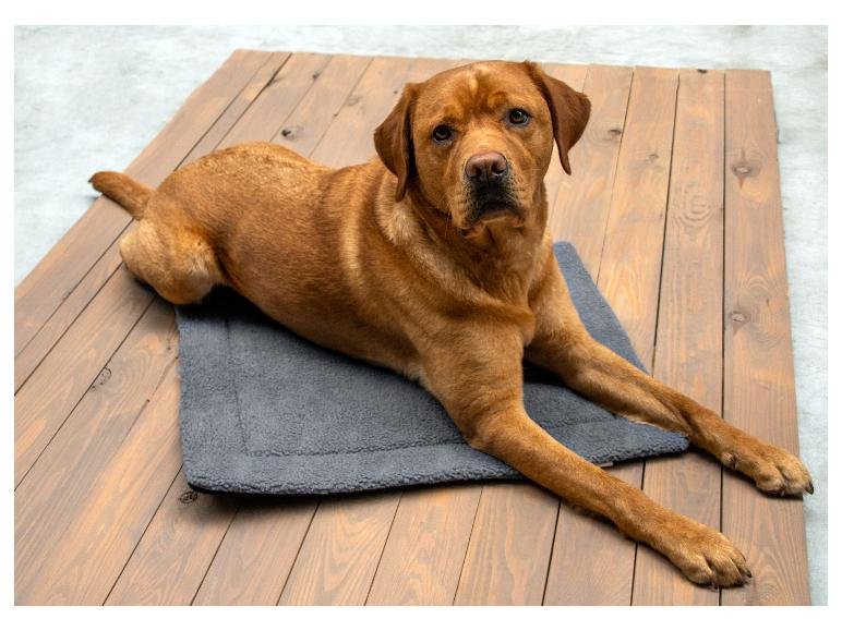 Tapis thermique pour animaux de compagnie