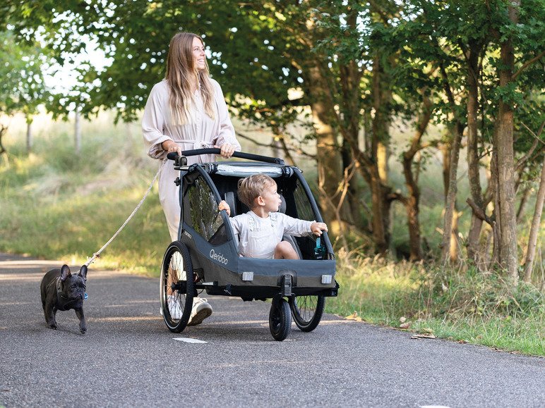 Remorque vélo Sportrex 1