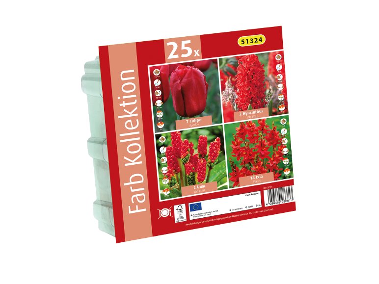 Bulbes de fleurs