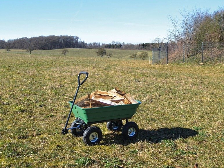 Chariot GGW 250