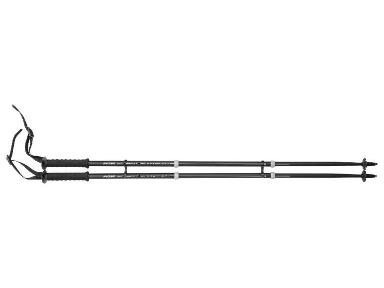 Lot de 2 bâtons de trekking