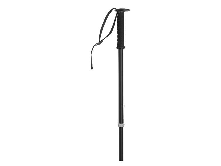 Lot de 2 bâtons de trekking