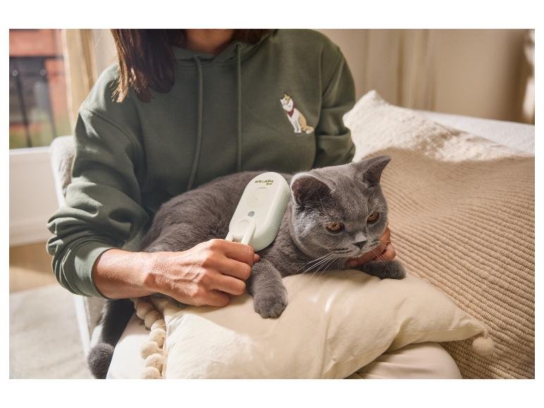Brosse à vapeur pour animaux