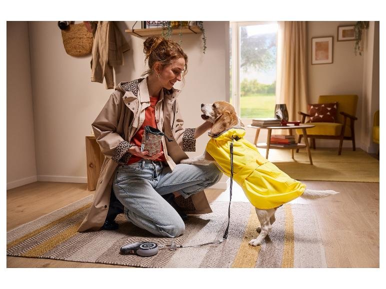 Manteau imperméable pour chien