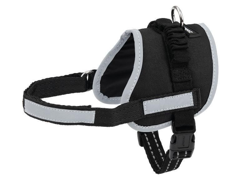 Harnais pour chien