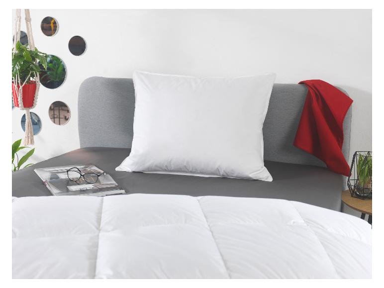 Oreiller plumes et duvet Premium