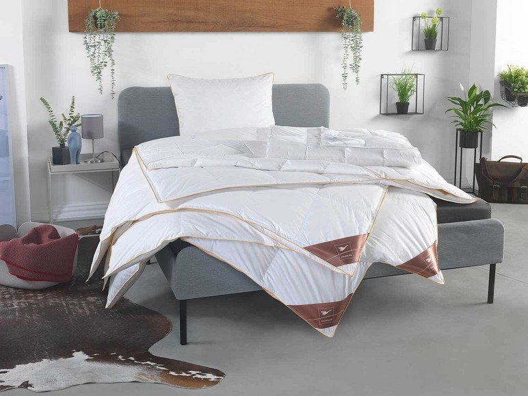 Couette chaude à cassettes en duvet Royal