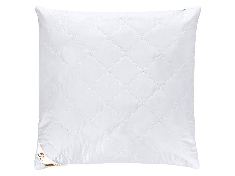Oreiller Polygiene®, 60 x 60 cm