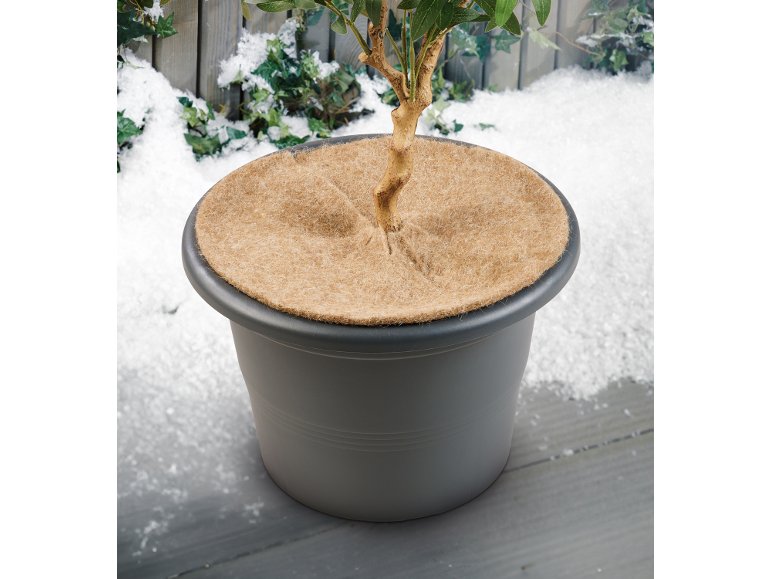 Set de 4 disques rond en feutre de laine pour protection des plantes