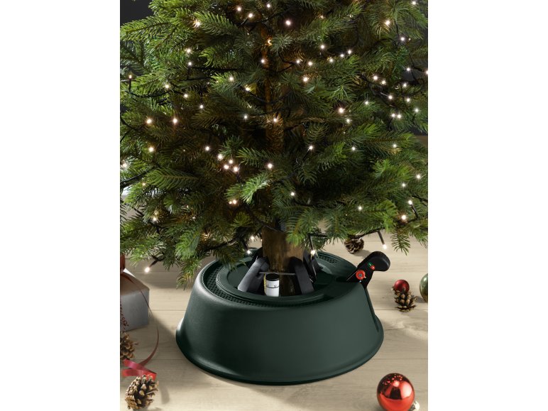 Pied de sapin de Noël