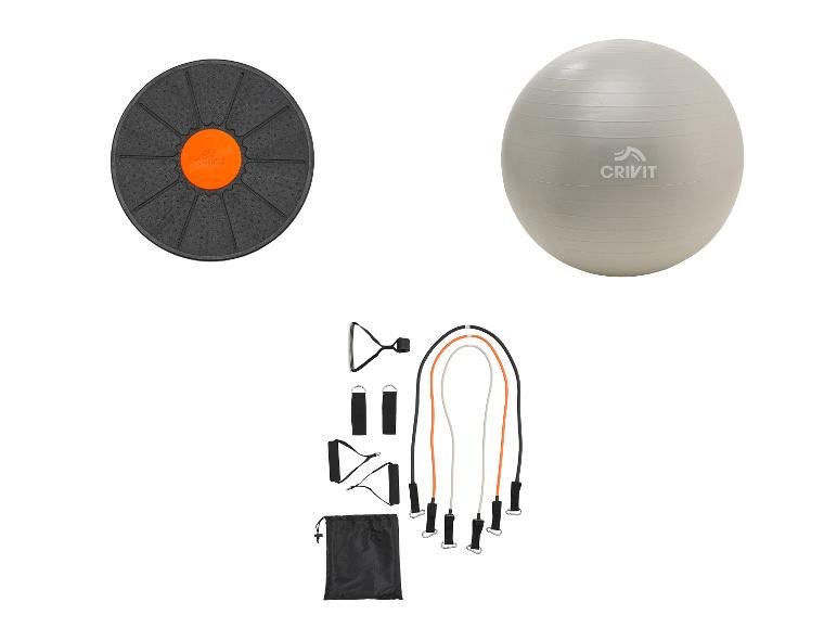 Plateau d’équilibre ou ballon de gymnastique ou bandes de fitness