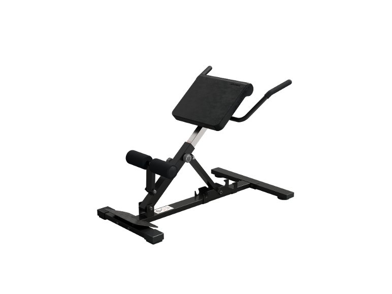 Multi-trainer