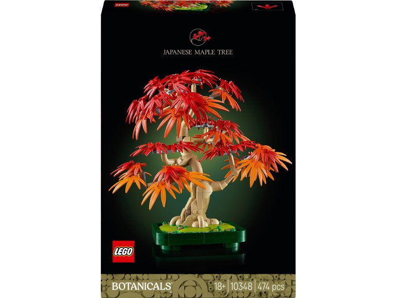 Érable rouge du Japon – Arbre à bonsaï