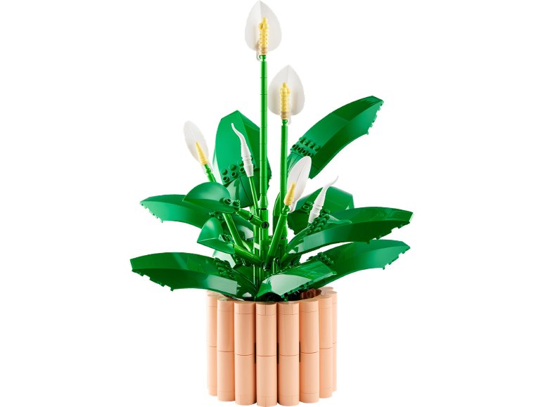 Fleur de paix