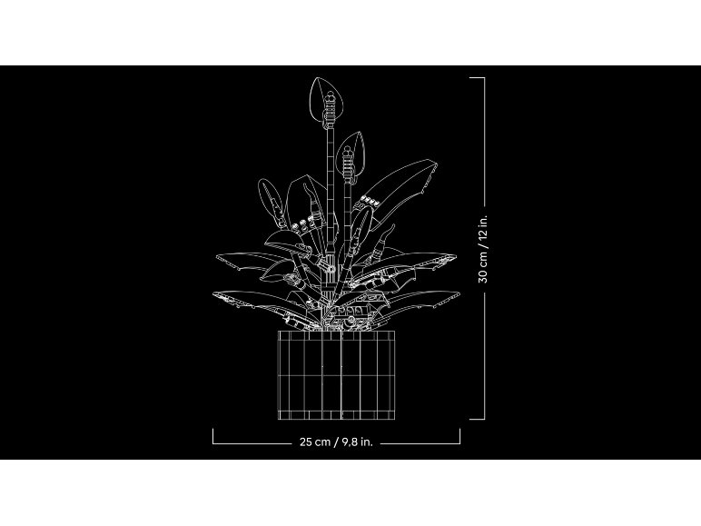 Fleur de paix
