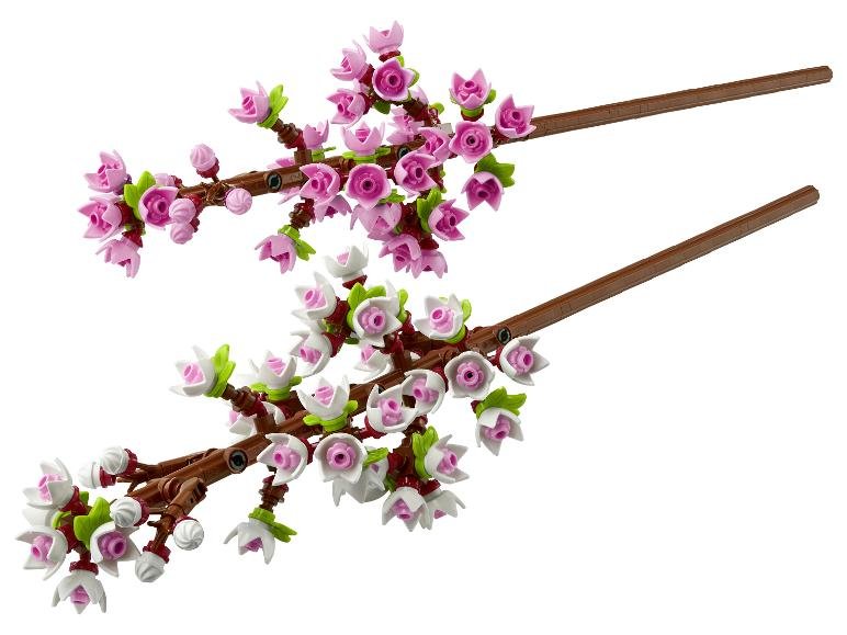 40725 »Fleurs de cerisier«