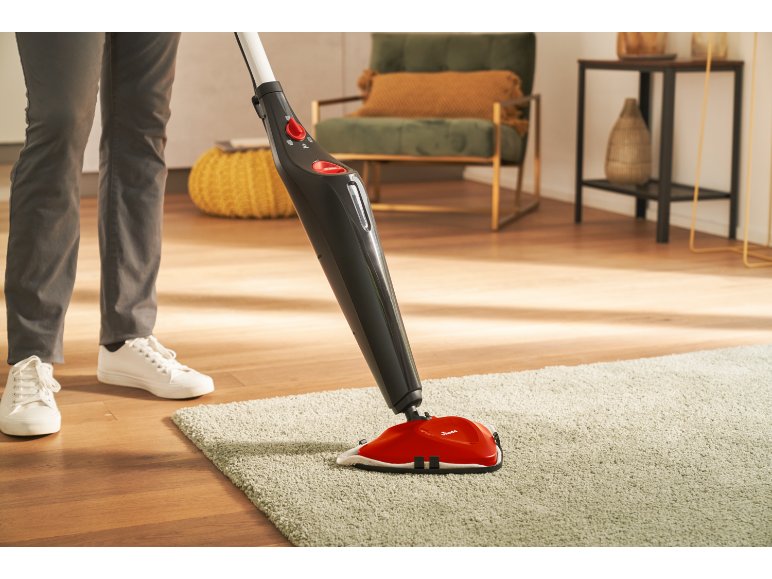 Nettoyeur vapeur Steam Compact