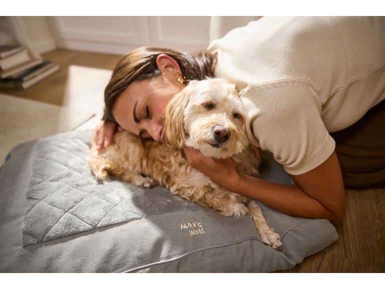 Panier pour chien (auto-chauffant ou auto-rafraîchissant) Taille S