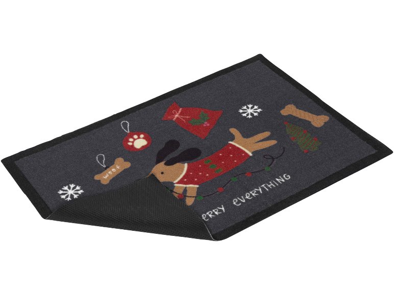 Tapis antipoussière