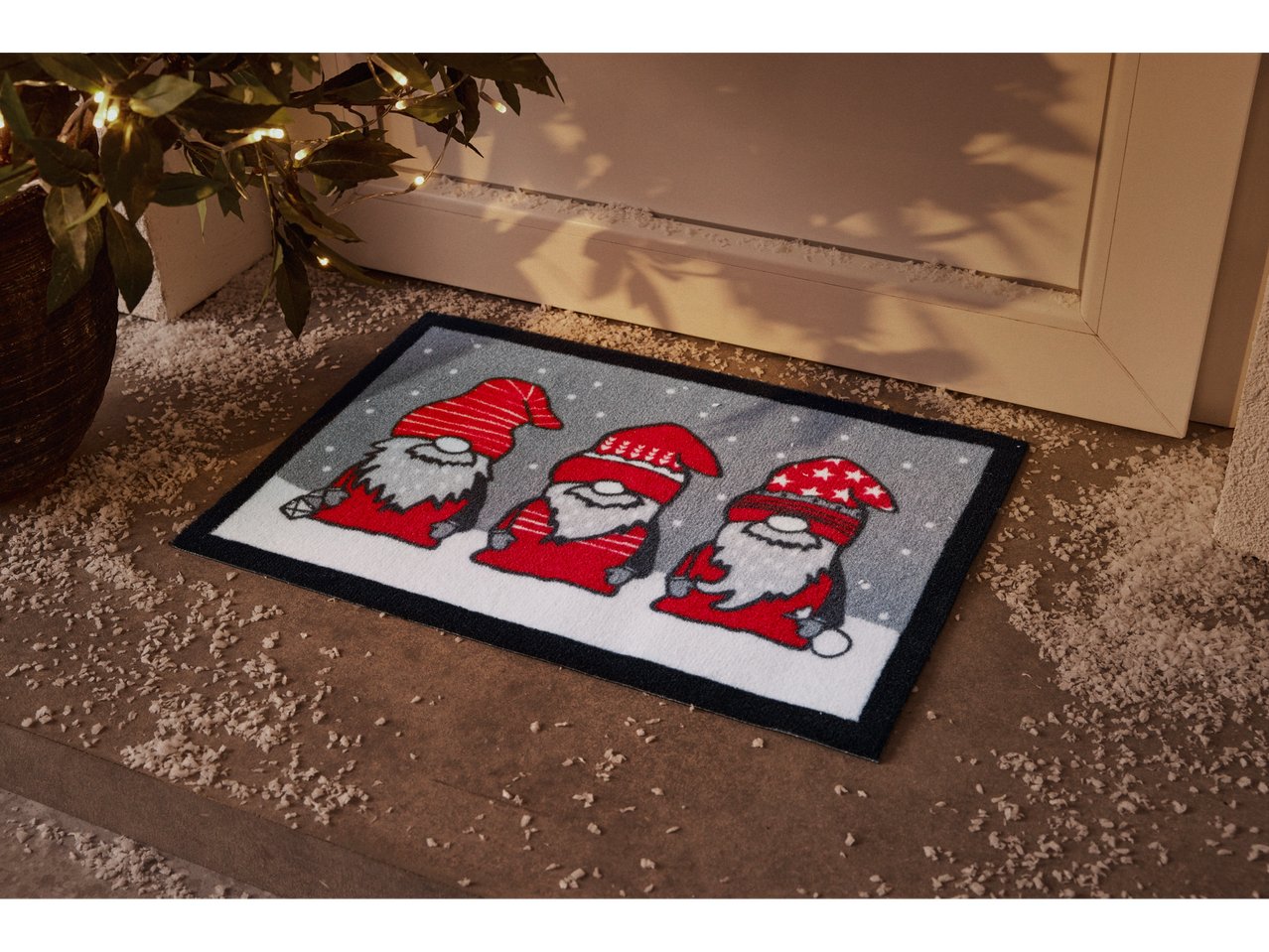 Tapis antipoussière