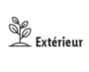 Plantes & Fleurs - Offres valables à partir du mer. 20 janvier 2021