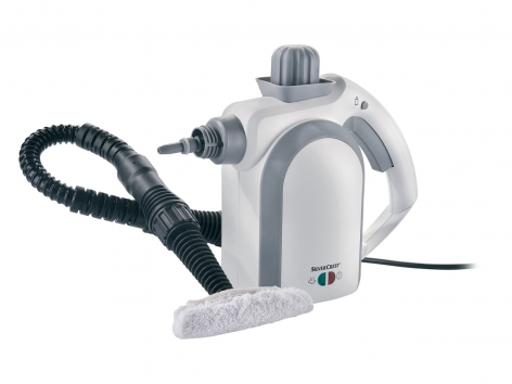 Nettoyeur vapeur à main