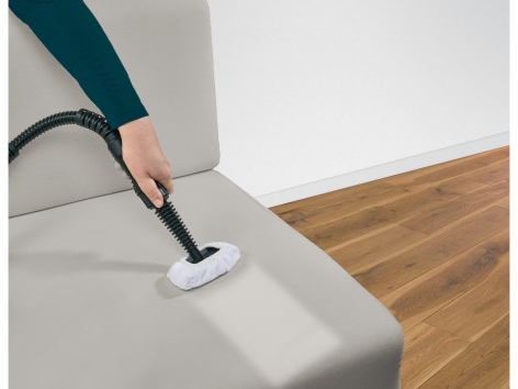 Nettoyeur vapeur à main