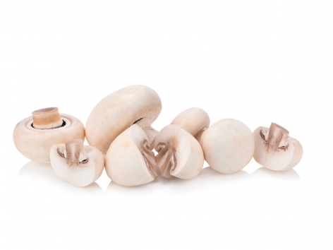 Champignon Blanc